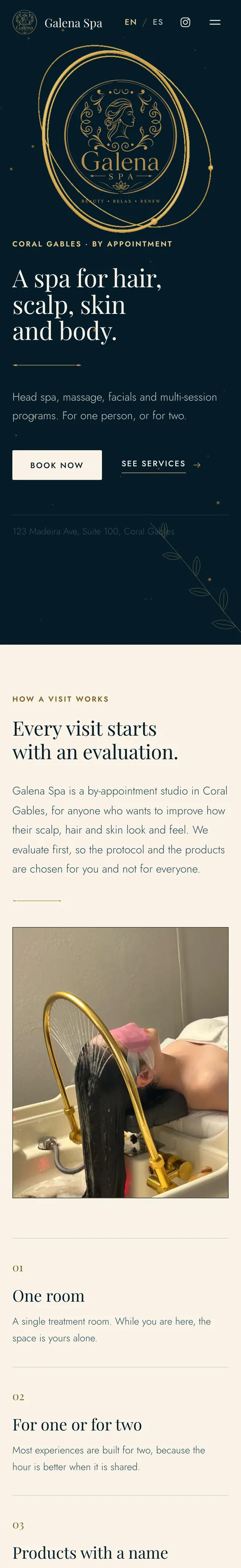 The same Galena Spa website on a phone.